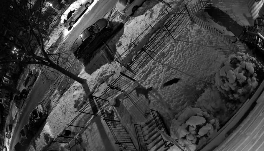 Reolink Camera Two_01_Reolink Home Hub One_20260126185326.jpg